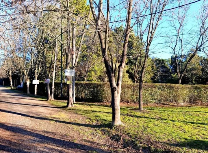 Terreno · 1650m²