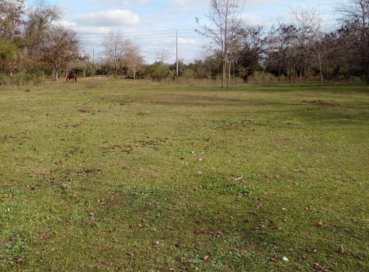 Terreno · 5338m²