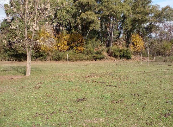 Terreno · 2669m²