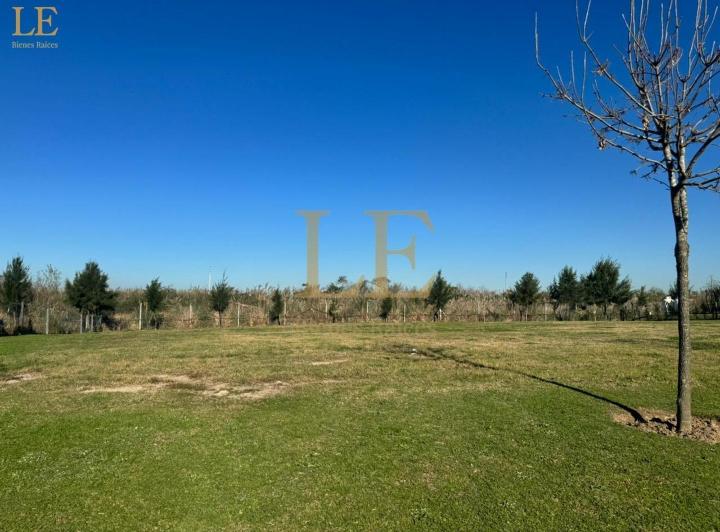 Terreno · 780m²