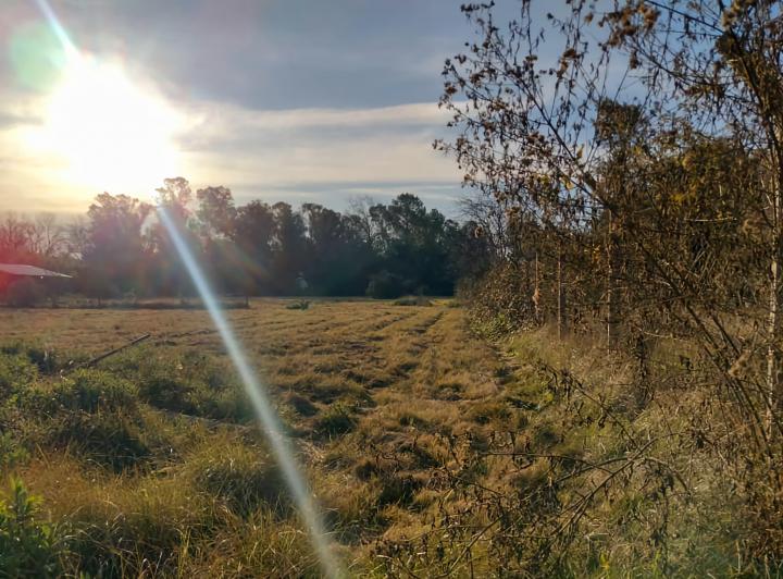Terreno · 10375m²