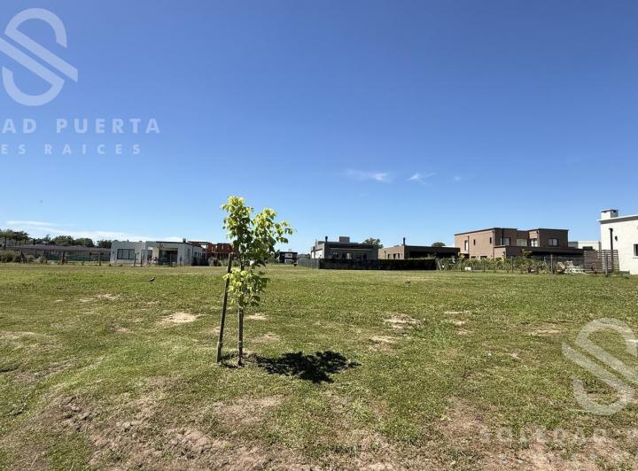 Terreno · 537m²