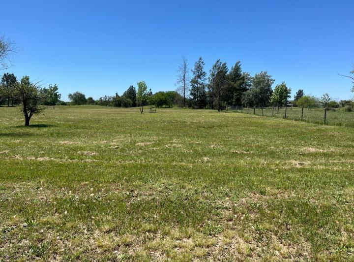 Terreno · 1233m²