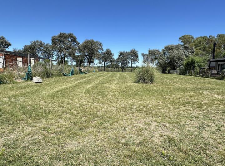 Terreno · 1399m²