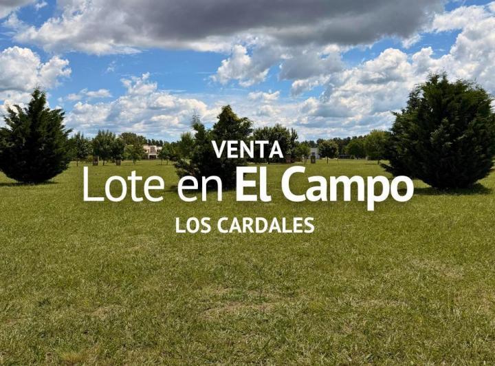 Terreno · 1041m²
