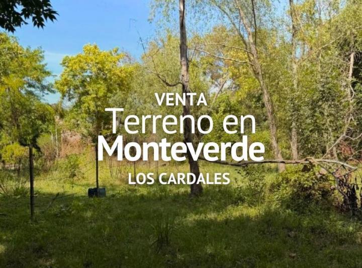 Terreno · 330m²