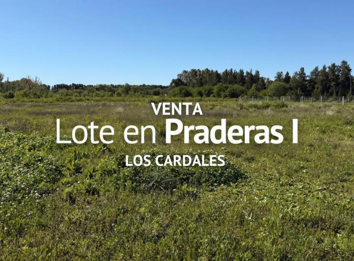 Terreno · 2000m²