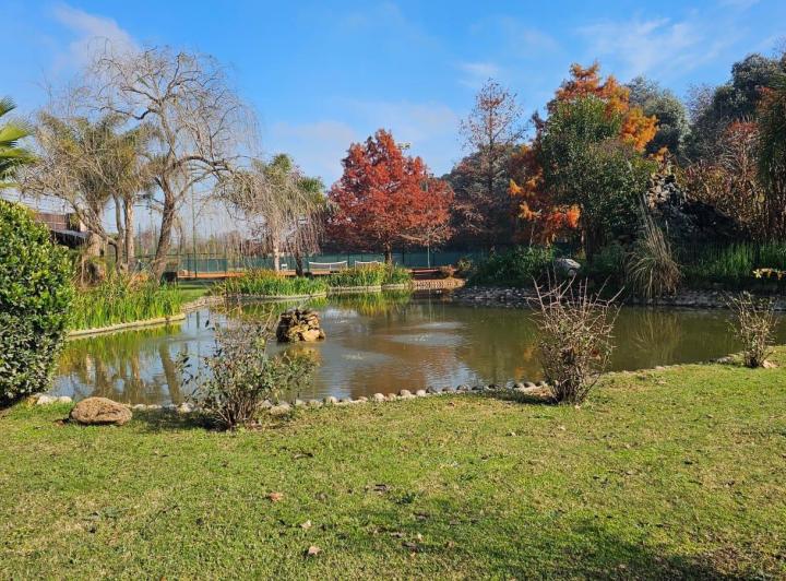 Terreno · 1585m²