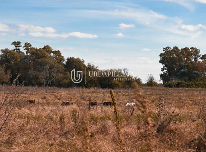 Terreno · 4973m²