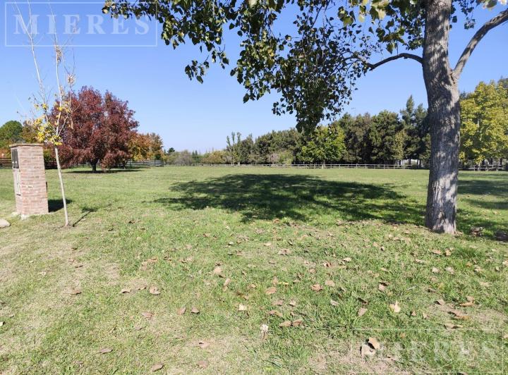 Terreno · 1017m²