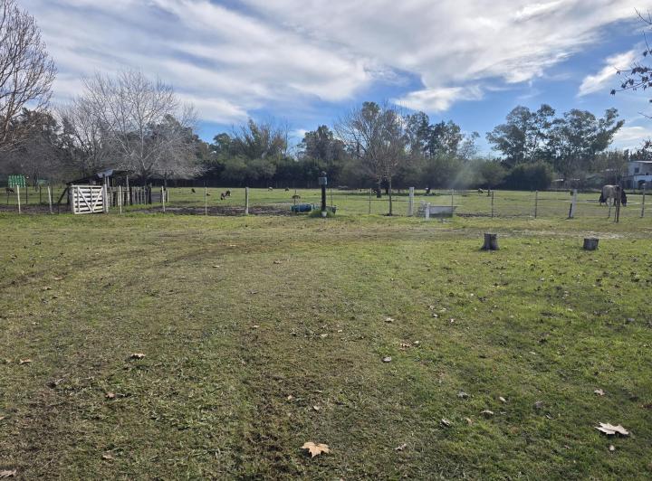 Terreno · 15000m²