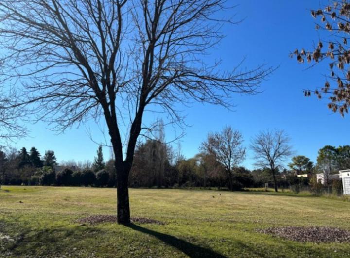 Terreno · 1510m²