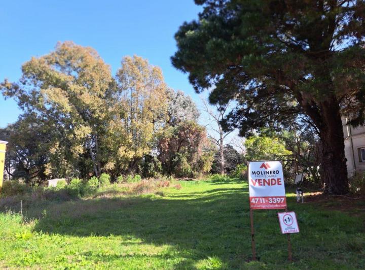 Terreno · 1000m²