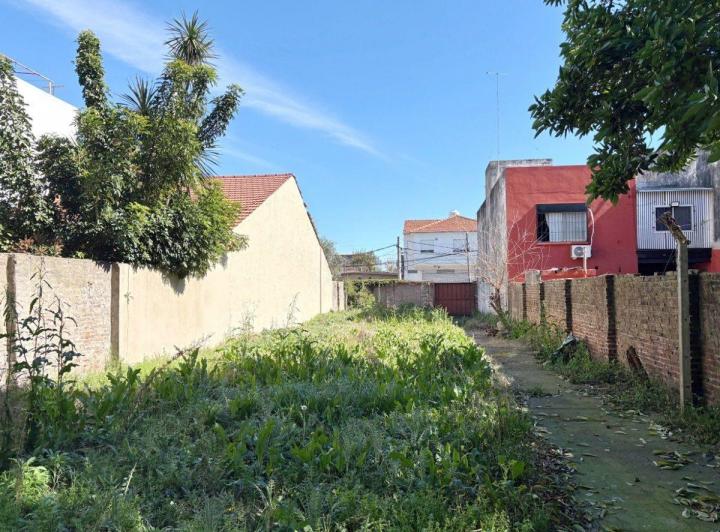 Terreno · 342m²