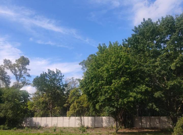Terreno · 390m²
