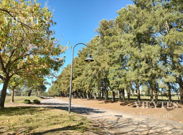 Terreno · 1000m²