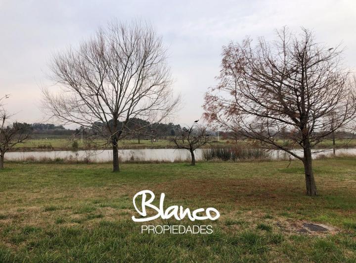 Terreno · 1014m²
