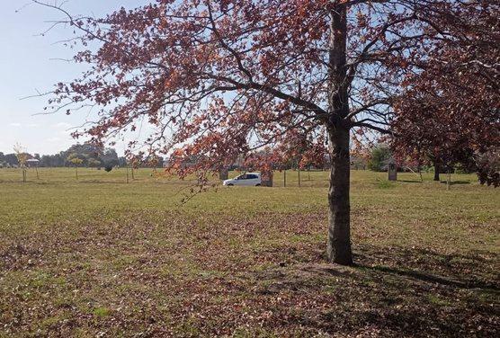 Terreno · 1068m²