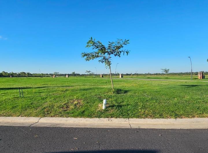 Terreno · 724m²