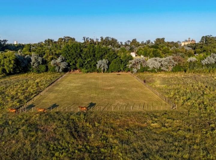 Terreno · 3461m²