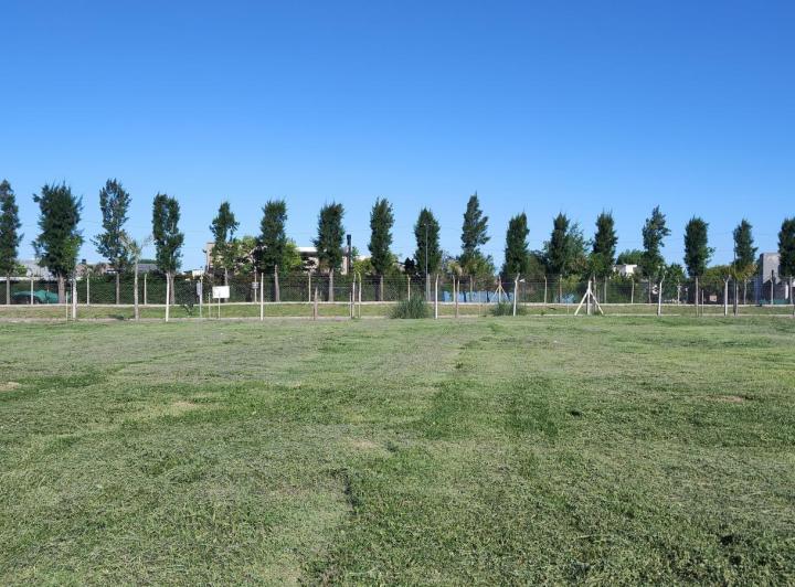 Terreno · 833m²