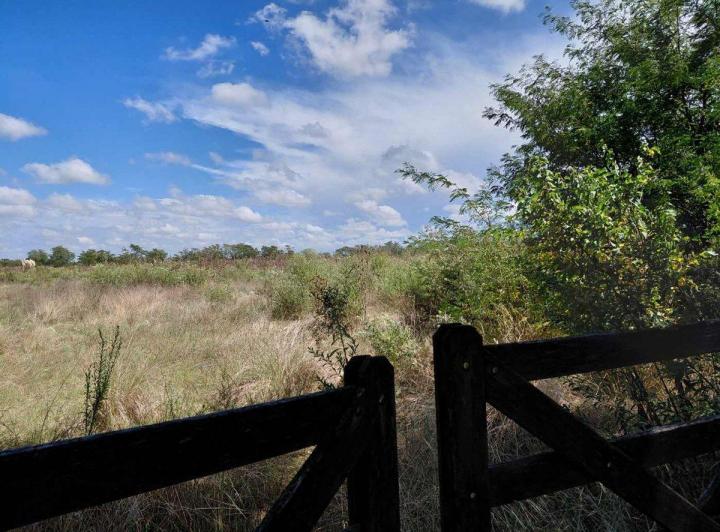 Terreno · 50000m²