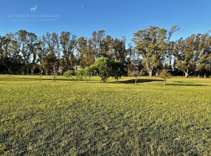 Terreno · 1000m²