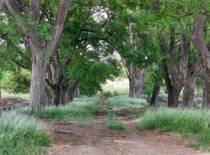 Terreno · 800m²