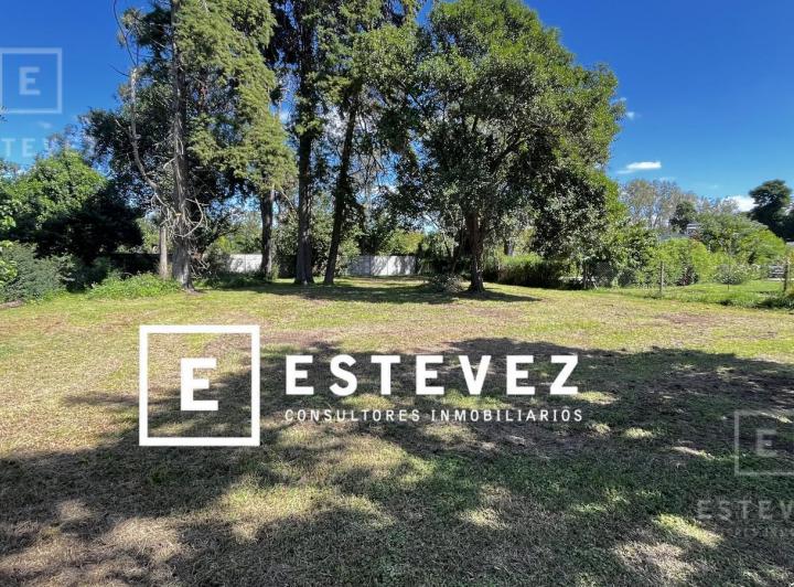 Terreno · 950m²