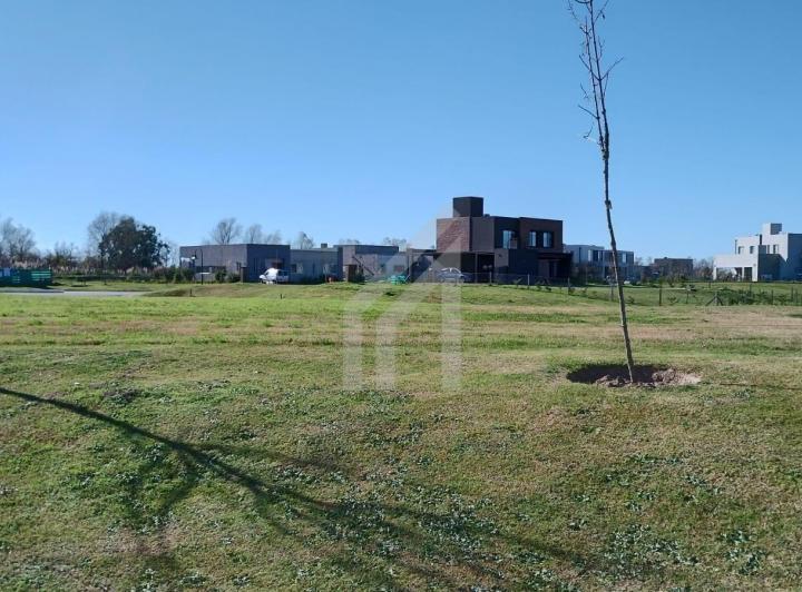 Terreno · 780m²