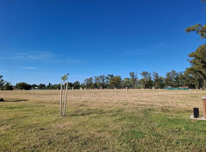Terreno · 532m²