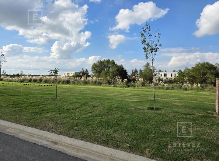 Terreno · 803m²