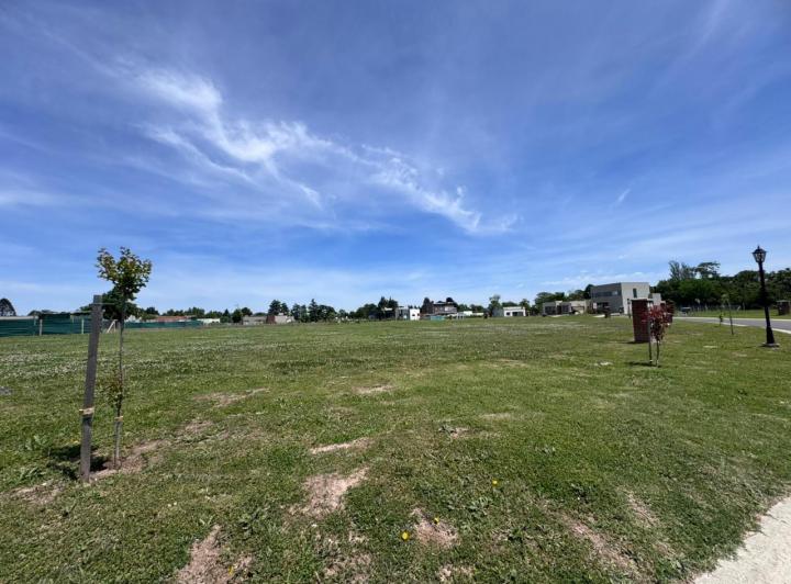 Terreno · 559m²