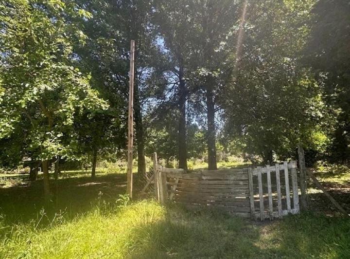 Terreno · 1834m²
