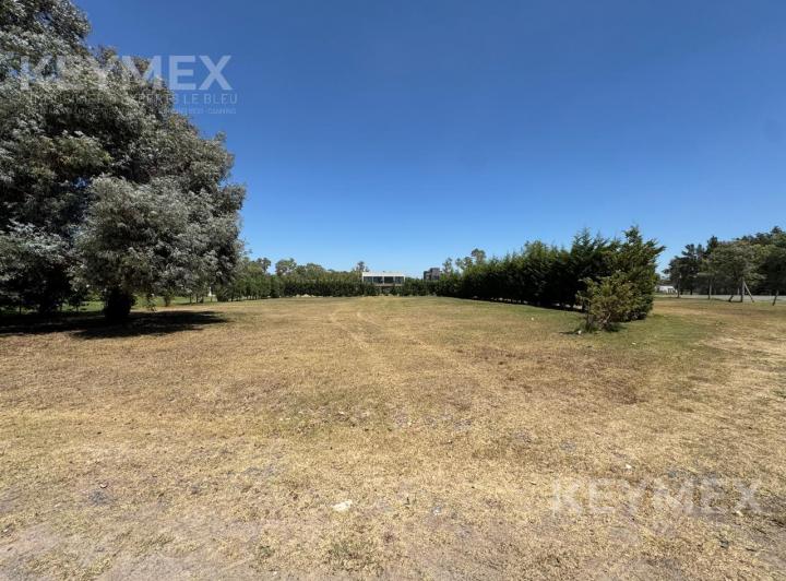 Terreno · 1504m²