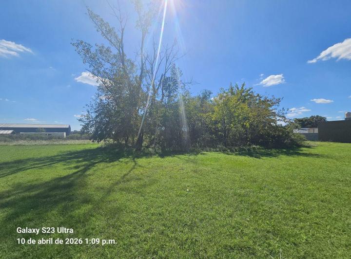 Terreno · 1500m²