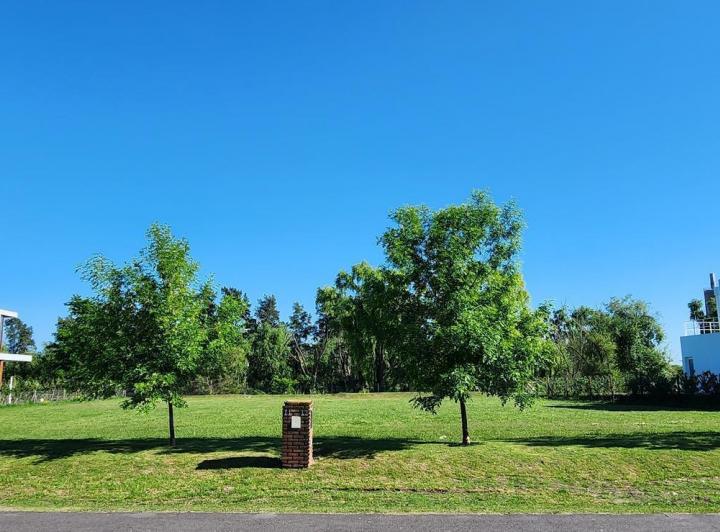 Terreno · 993m²