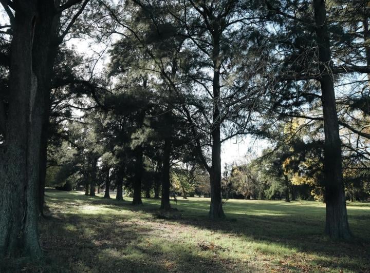 Terreno · 891m²