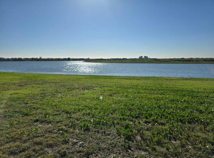 Terreno · 1261m²