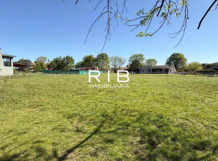 Terreno · 1004m²
