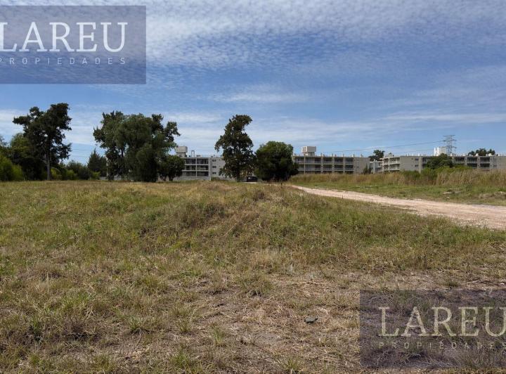 Terreno · 10000m²