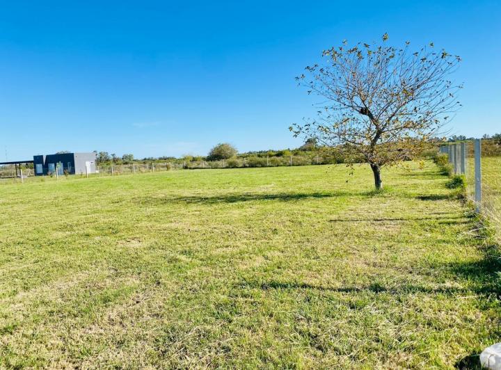 Terreno · 1963m²
