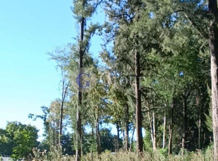 Terreno · 675m²