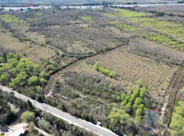 Terreno · 10ha