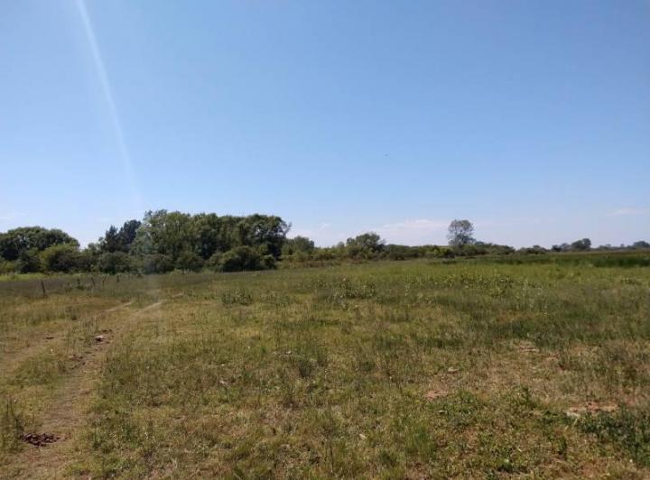 Terreno · 1030000m²