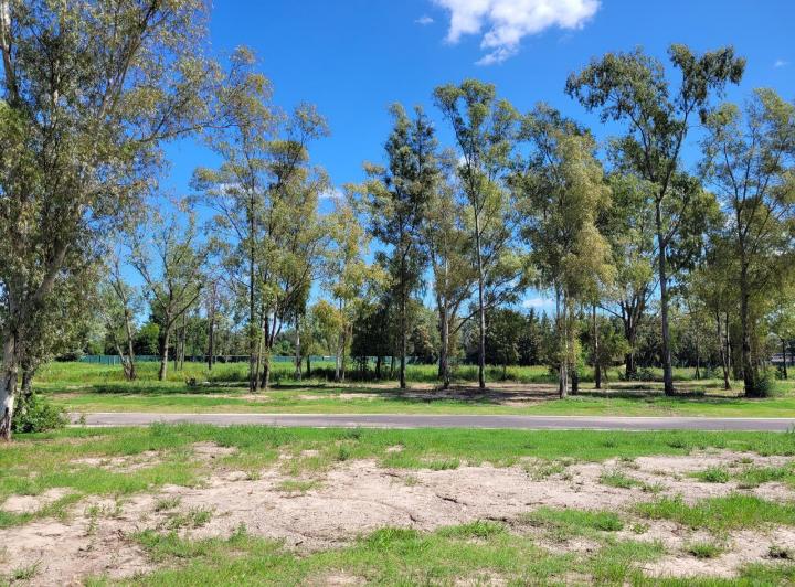 Terreno · 803m²