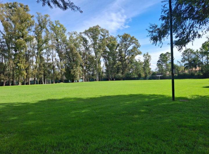 Terreno · 1274m²