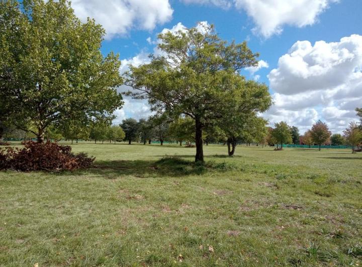 Terreno · 1042m²