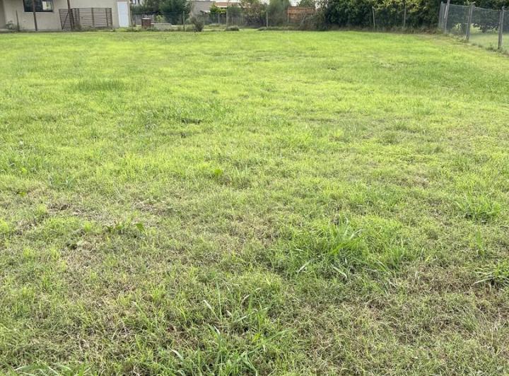 Terreno · 995m²