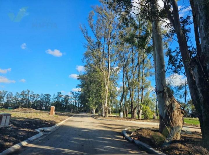 Terreno · 541m²